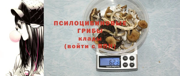 прущая мука Ладушкин