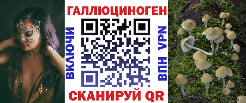 сколько стоит  Буй  Псилоцибиновые грибы Cubensis 